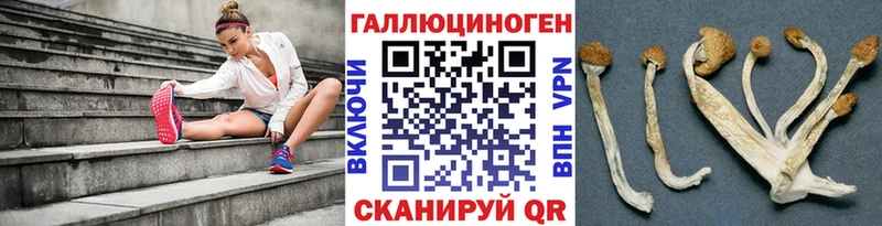 Галлюциногенные грибы GOLDEN TEACHER Новоаннинский